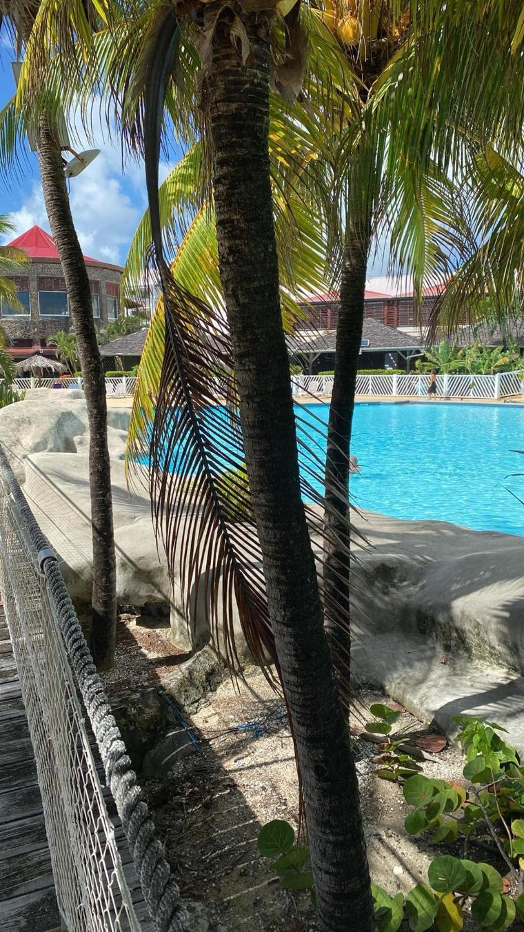 Studio Bord De Mer Avec Piscine - Le Manganao, Saint-Francois Esterno foto