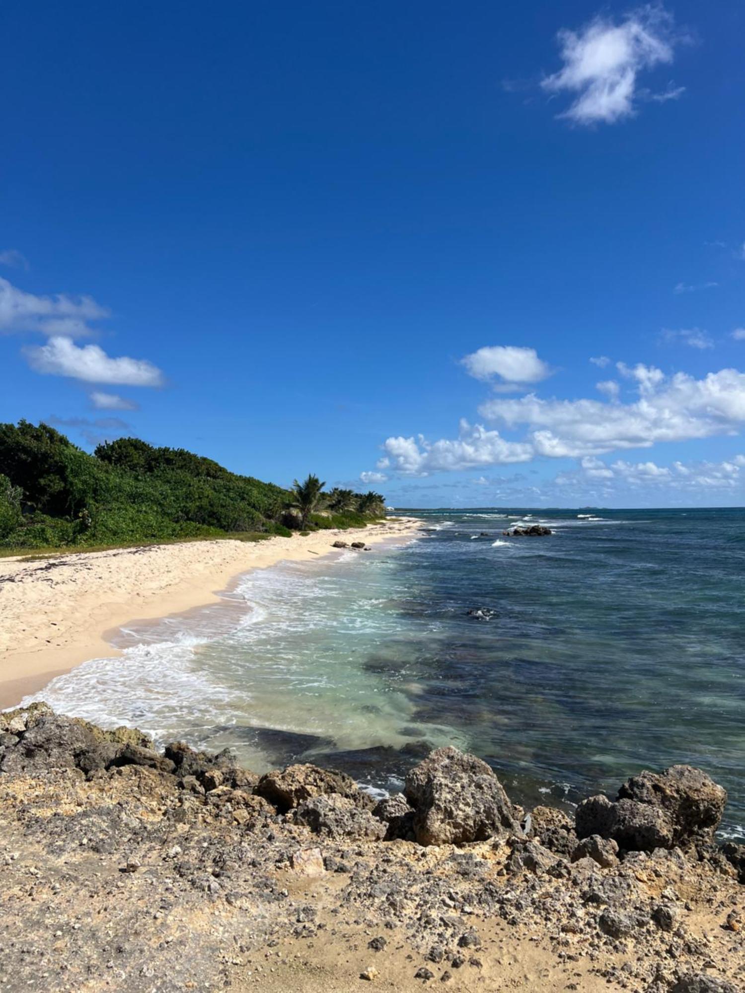 Studio Bord De Mer Avec Piscine - Le Manganao, Saint-Francois Esterno foto